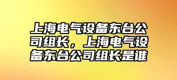 上海電氣設備東臺公司組長(cháng)，上海電氣設備東臺公司組長(cháng)是誰(shuí)
