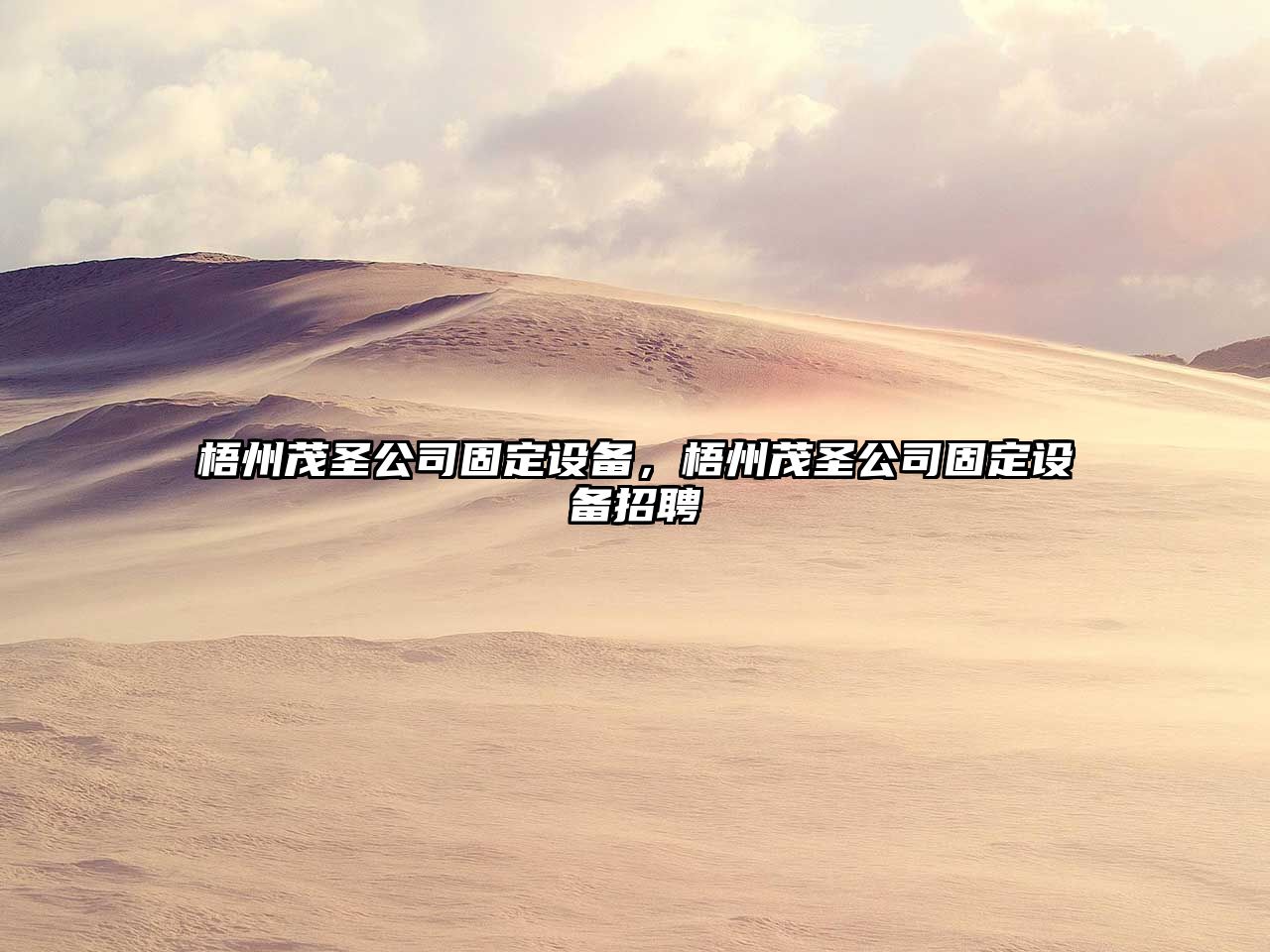 梧州茂圣公司固定設備，梧州茂圣公司固定設備招聘