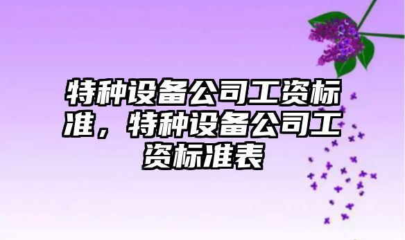 特種設備公司工資標準，特種設備公司工資標準表