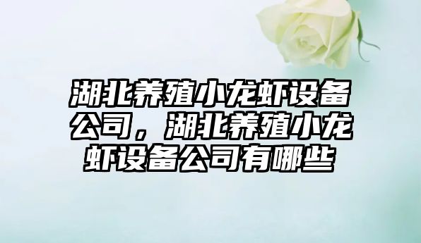 湖北養殖小龍蝦設備公司，湖北養殖小龍蝦設備公司有哪些