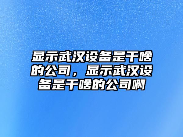 顯示武漢設備是干啥的公司，顯示武漢設備是干啥的公司啊