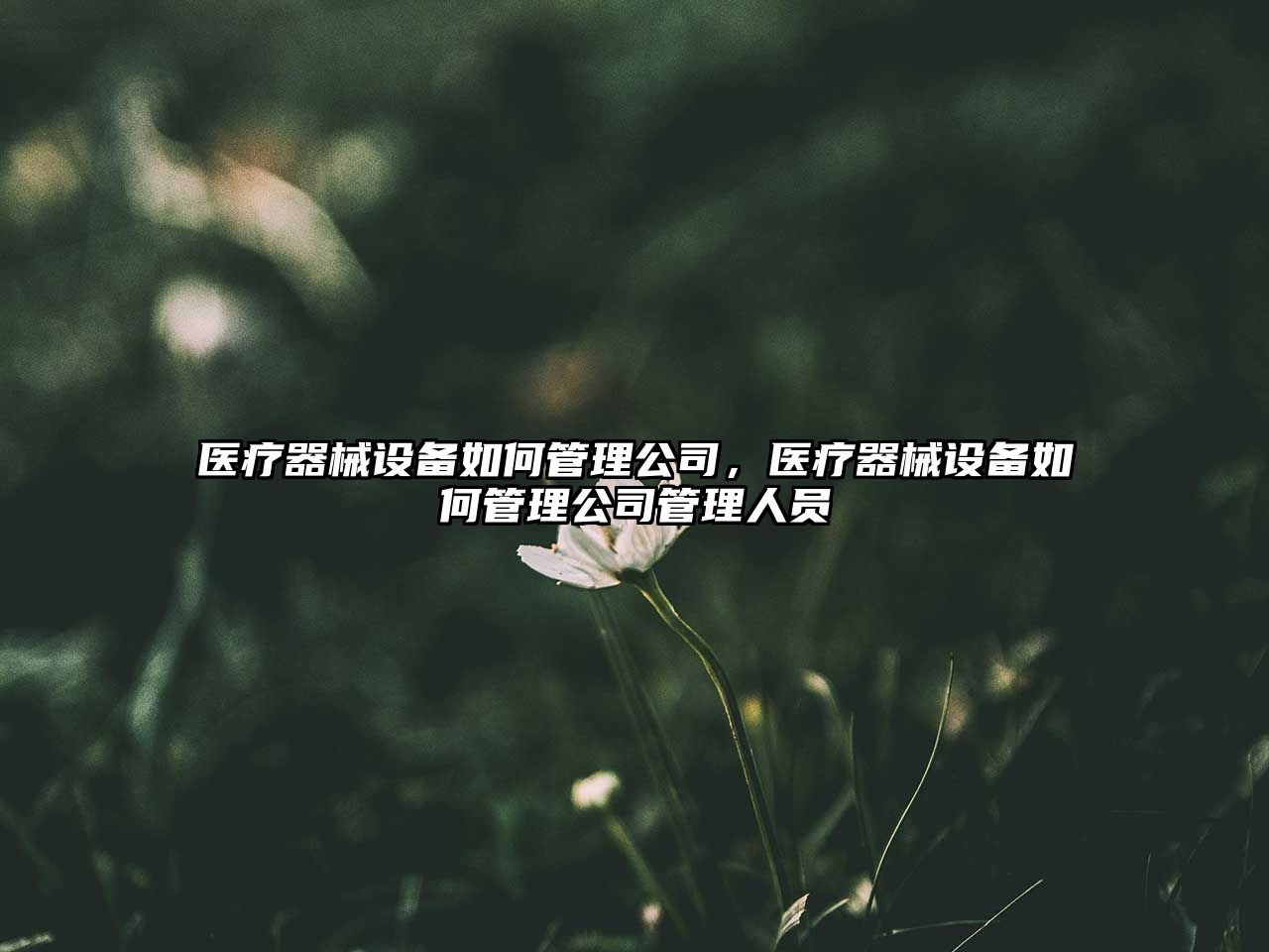 醫療器械設備如何管理公司，醫療器械設備如何管理公司管理人員