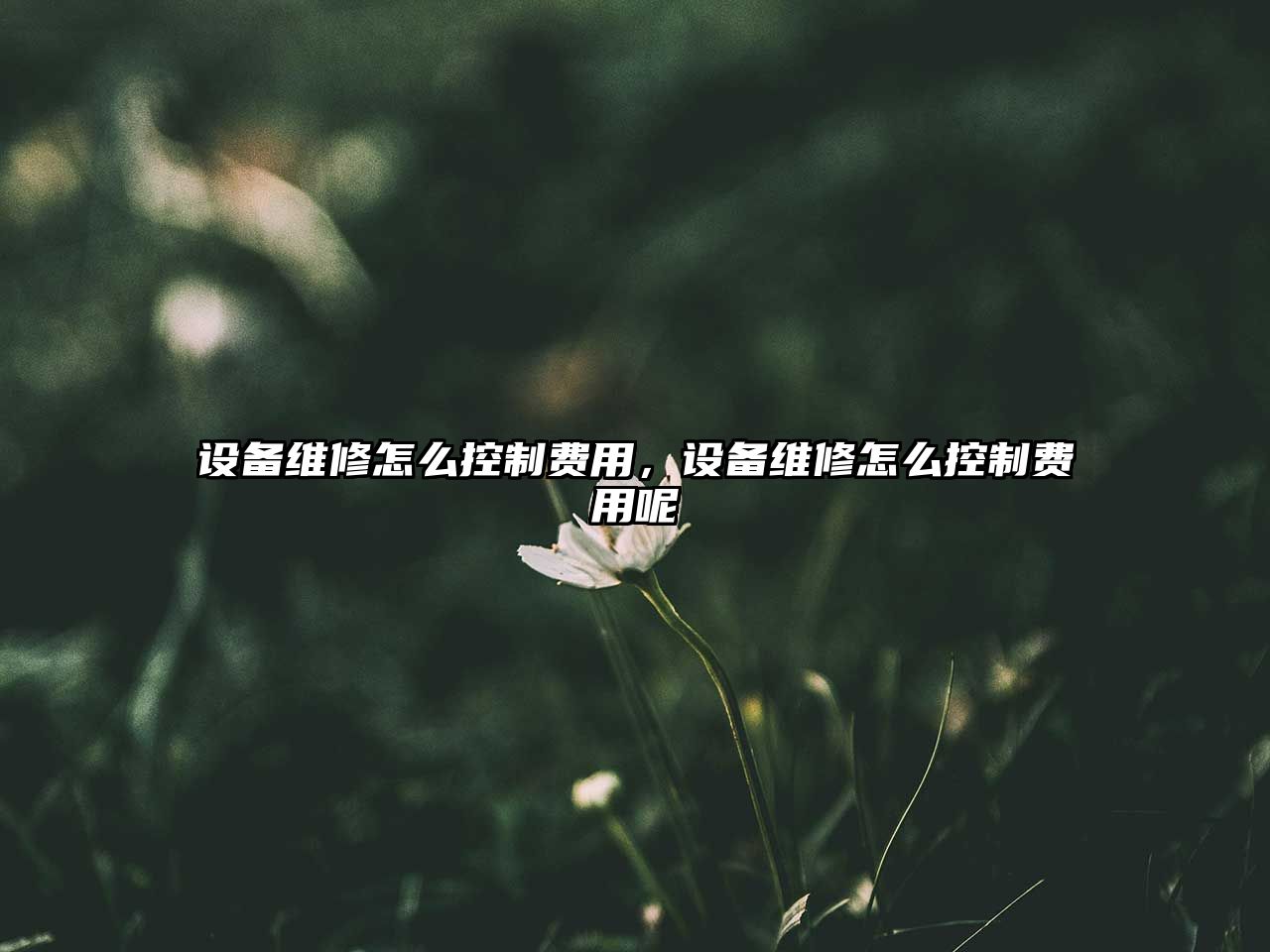設備維修怎么控制費用，設備維修怎么控制費用呢
