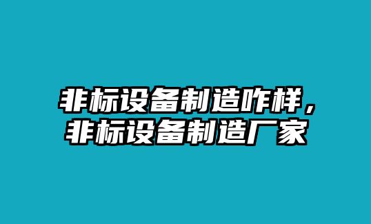 非標設備制造咋樣，非標設備制造廠(chǎng)家
