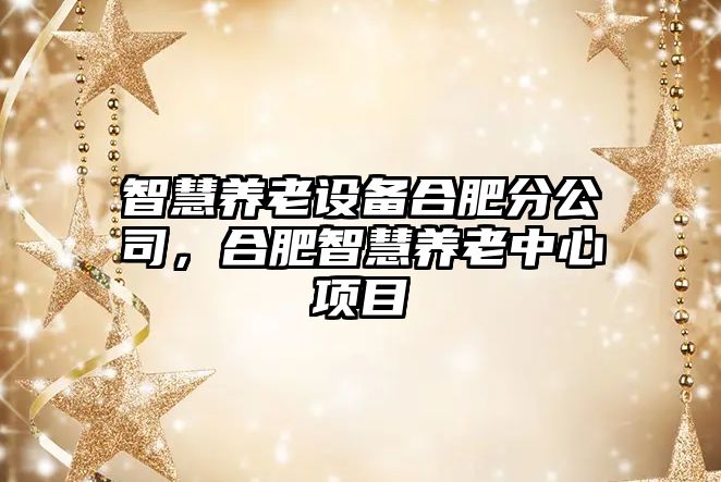 智慧養老設備合肥分公司，合肥智慧養老中心項目