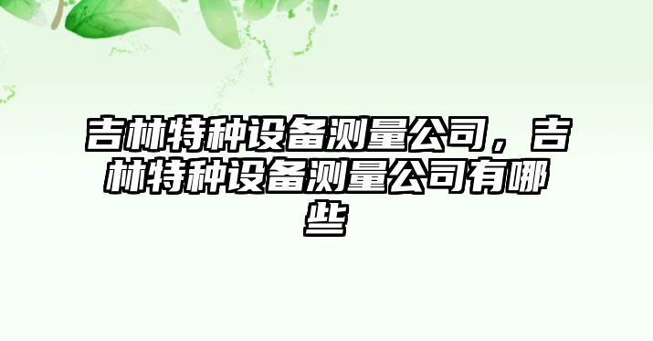 吉林特種設備測量公司，吉林特種設備測量公司有哪些
