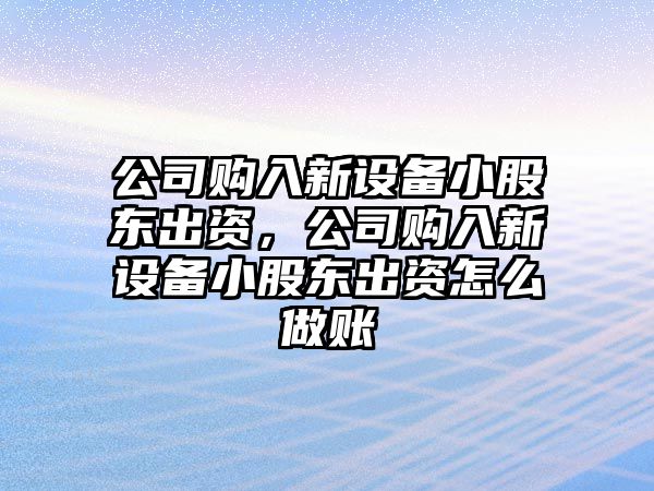 公司購入新設備小股東出資，公司購入新設備小股東出資怎么做賬