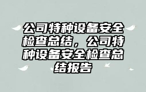 公司特種設備安全檢查總結，公司特種設備安全檢查總結報告