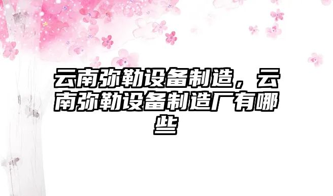 云南彌勒設備制造，云南彌勒設備制造廠(chǎng)有哪些