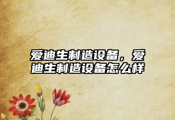 愛(ài)迪生制造設備，愛(ài)迪生制造設備怎么樣