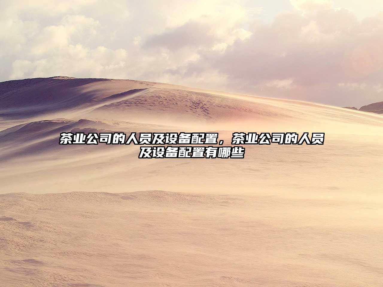 茶業(yè)公司的人員及設備配置，茶業(yè)公司的人員及設備配置有哪些