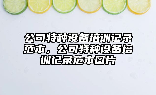 公司特種設備培訓記錄范本，公司特種設備培訓記錄范本圖片
