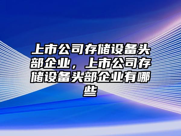 上市公司存儲設備頭部企業(yè)，上市公司存儲設備頭部企業(yè)有哪些