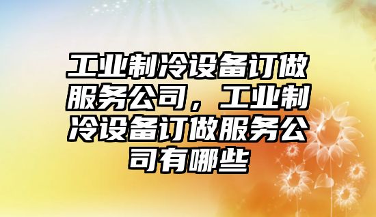 工業(yè)制冷設備訂做服務(wù)公司，工業(yè)制冷設備訂做服務(wù)公司有哪些
