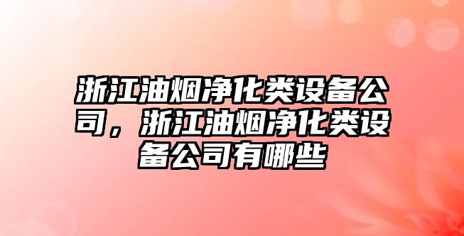 浙江油煙凈化類(lèi)設備公司，浙江油煙凈化類(lèi)設備公司有哪些