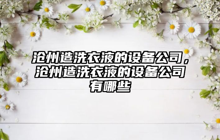 滄州造洗衣液的設備公司，滄州造洗衣液的設備公司有哪些