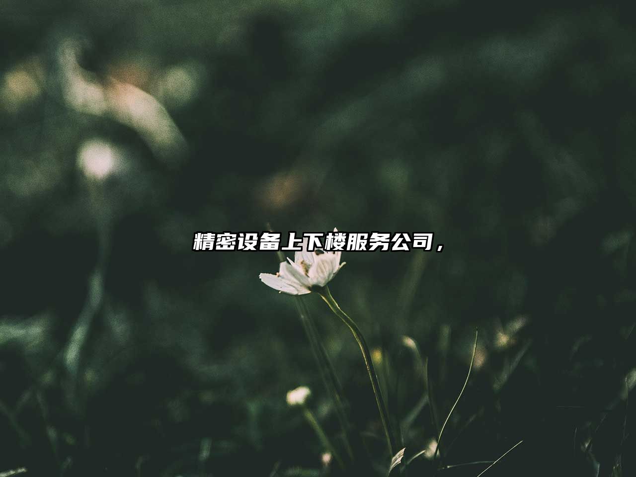 精密設備上下樓服務(wù)公司，