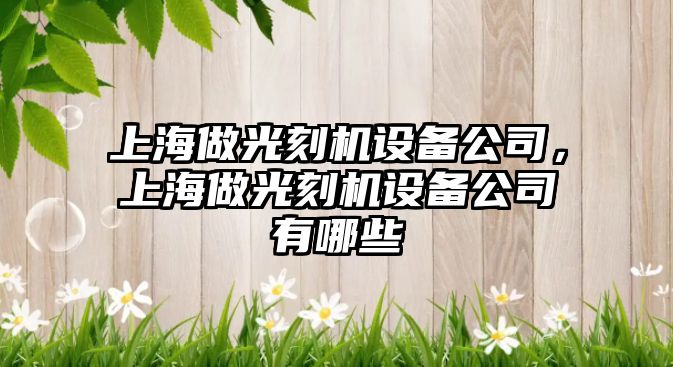 上海做光刻機設備公司，上海做光刻機設備公司有哪些