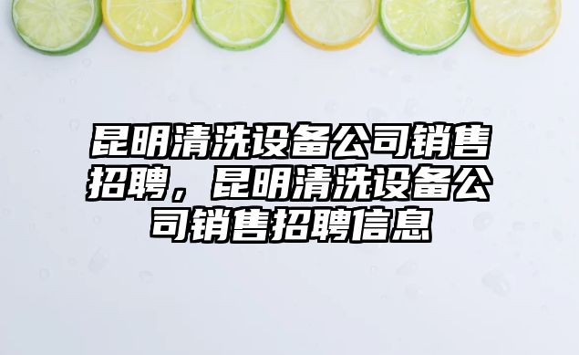 昆明清洗設備公司銷(xiāo)售招聘，昆明清洗設備公司銷(xiāo)售招聘信息