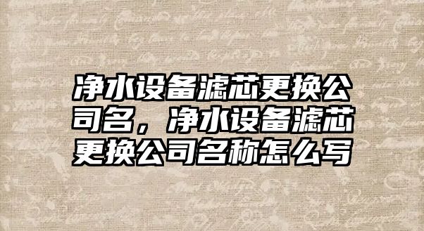 凈水設備濾芯更換公司名，凈水設備濾芯更換公司名稱(chēng)怎么寫(xiě)