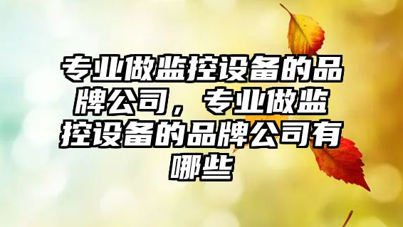 專(zhuān)業(yè)做監控設備的品牌公司，專(zhuān)業(yè)做監控設備的品牌公司有哪些