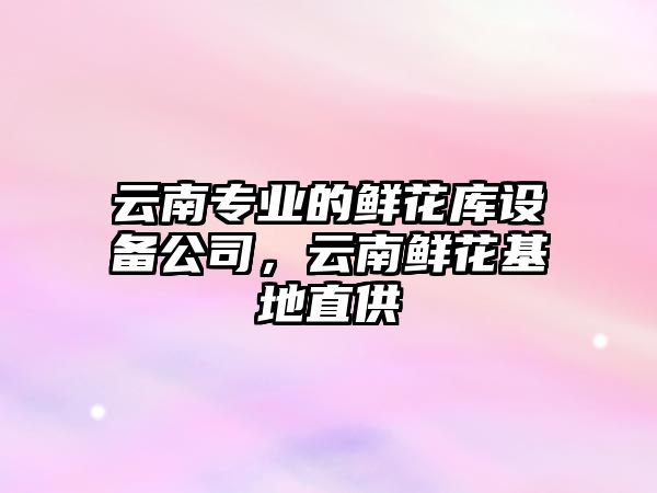 云南專(zhuān)業(yè)的鮮花庫設備公司，云南鮮花基地直供
