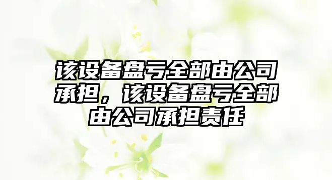 該設備盤(pán)虧全部由公司承擔，該設備盤(pán)虧全部由公司承擔責任