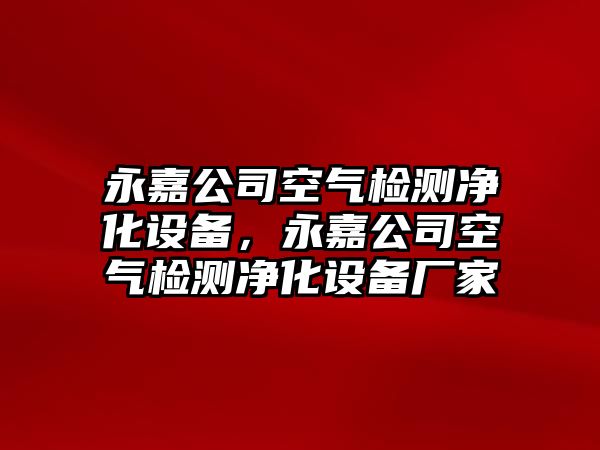 永嘉公司空氣檢測凈化設備，永嘉公司空氣檢測凈化設備廠(chǎng)家