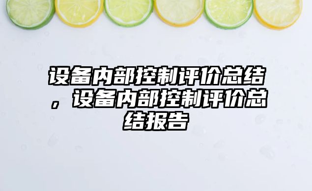 設備內部控制評價(jià)總結，設備內部控制評價(jià)總結報告