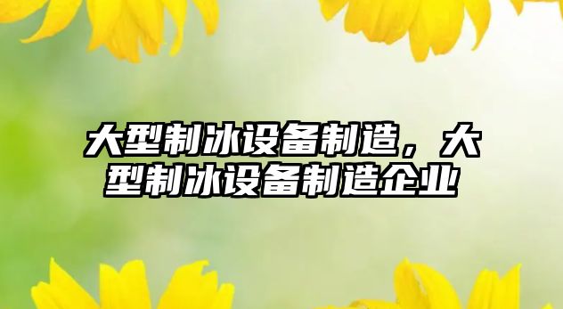 大型制冰設備制造，大型制冰設備制造企業(yè)