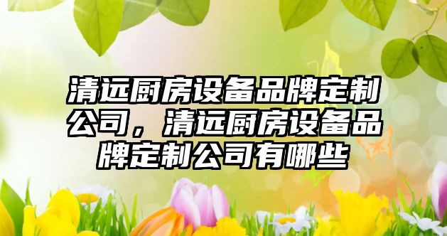 清遠廚房設備品牌定制公司，清遠廚房設備品牌定制公司有哪些