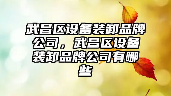 武昌區設備裝卸品牌公司，武昌區設備裝卸品牌公司有哪些