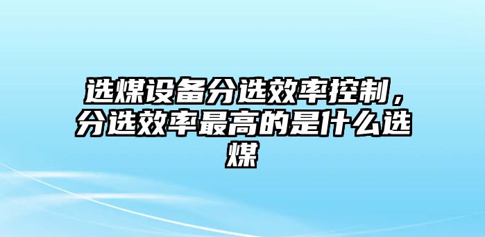 選煤設備分選效率控制，分選效率最高的是什么選煤