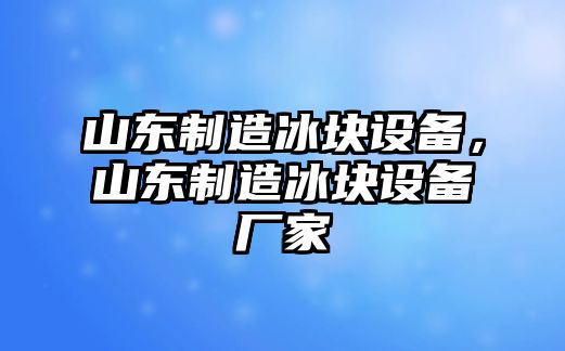山東制造冰塊設備，山東制造冰塊設備廠(chǎng)家