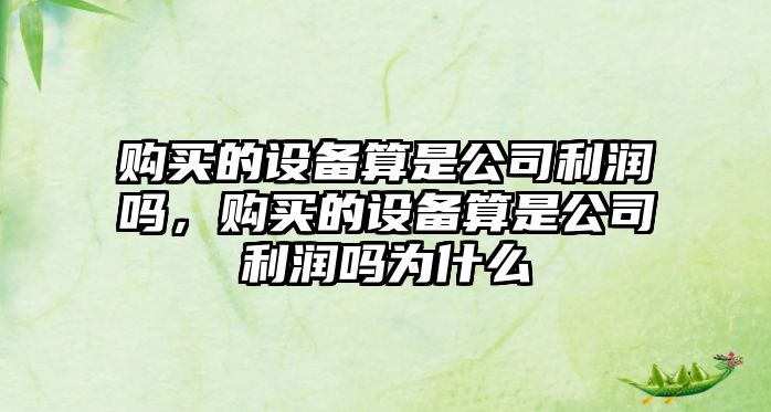 購買(mǎi)的設備算是公司利潤嗎，購買(mǎi)的設備算是公司利潤嗎為什么