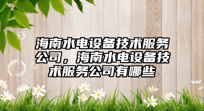 海南水電設備技術(shù)服務(wù)公司，海南水電設備技術(shù)服務(wù)公司有哪些