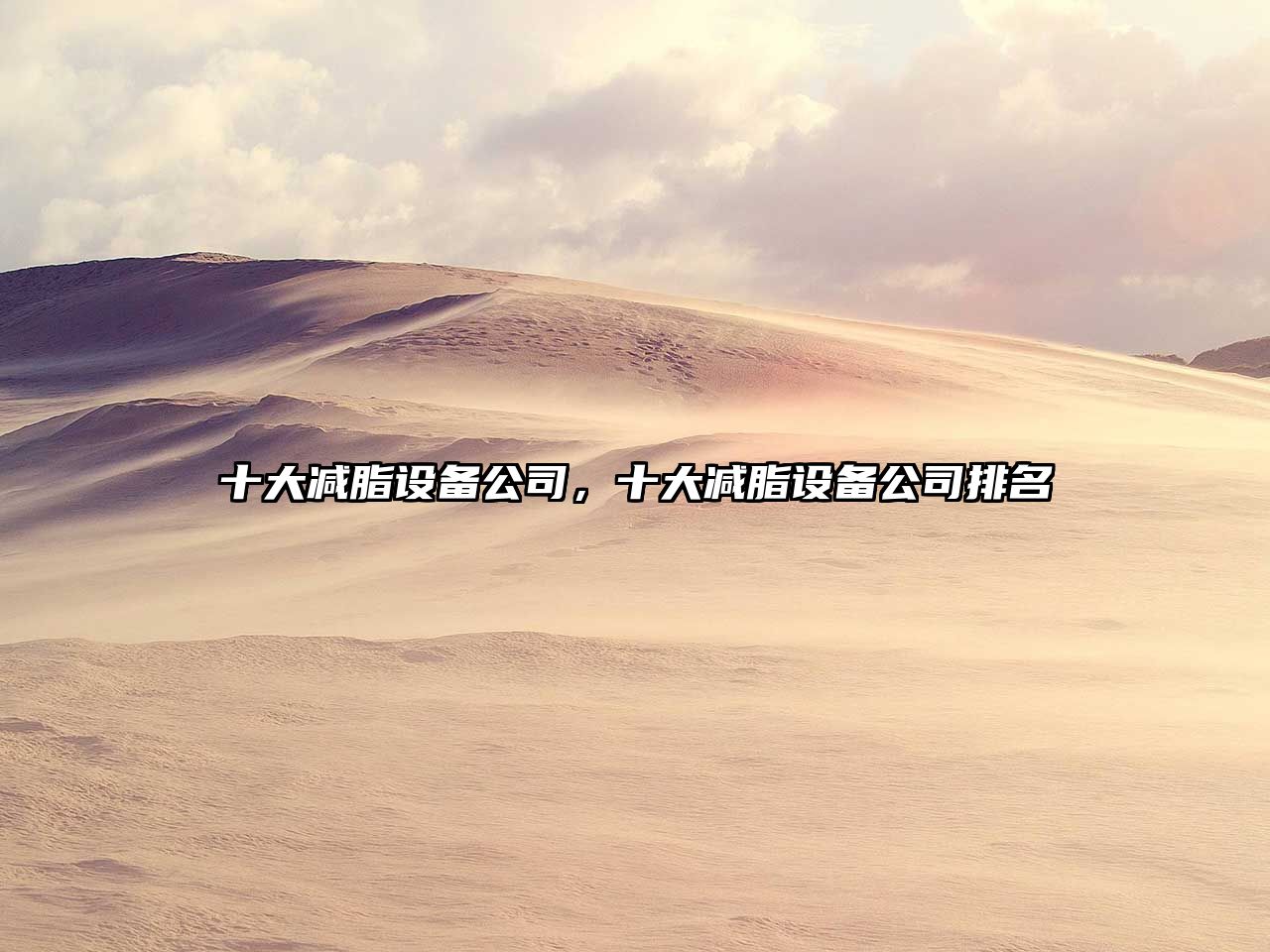 十大減脂設備公司，十大減脂設備公司排名