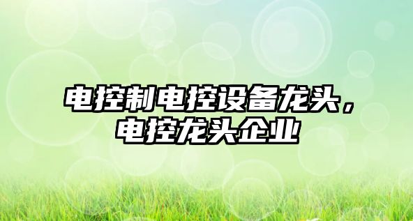 電控制電控設備龍頭，電控龍頭企業(yè)