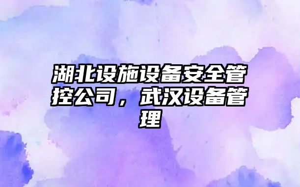湖北設施設備安全管控公司，武漢設備管理