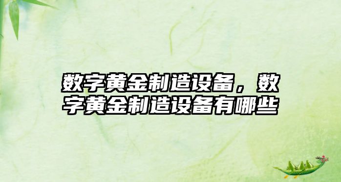 數字黃金制造設備，數字黃金制造設備有哪些