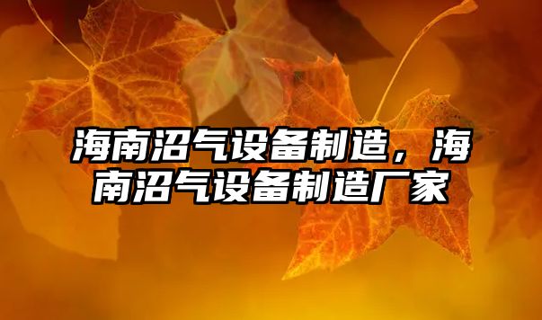 海南沼氣設備制造，海南沼氣設備制造廠(chǎng)家