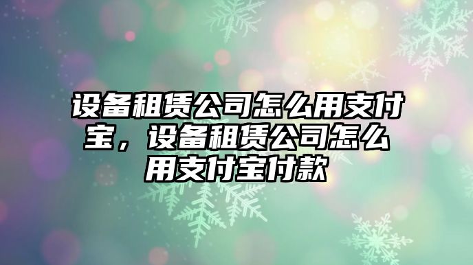 設備租賃公司怎么用支付寶，設備租賃公司怎么用支付寶付款
