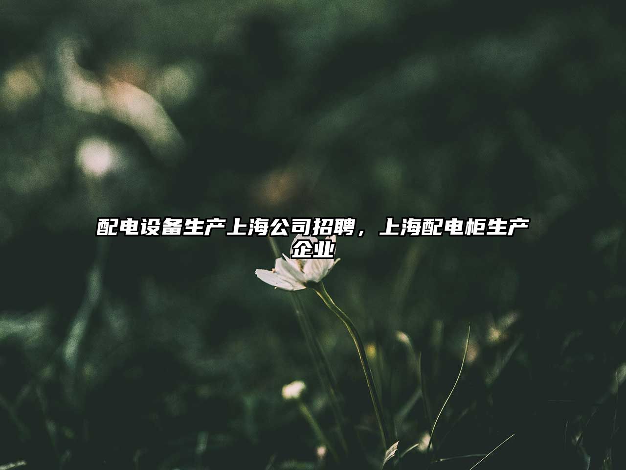 配電設備生產(chǎn)上海公司招聘，上海配電柜生產(chǎn)企業(yè)