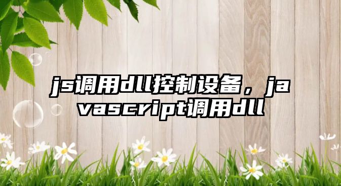 js調用dll控制設備，javascript調用dll