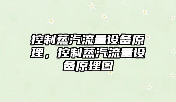 控制蒸汽流量設備原理，控制蒸汽流量設備原理圖