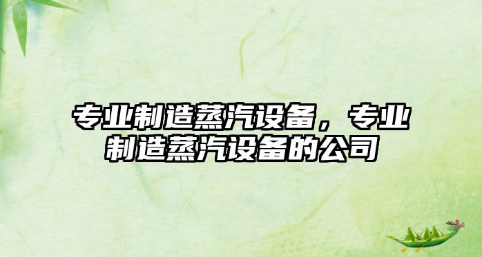 專(zhuān)業(yè)制造蒸汽設備，專(zhuān)業(yè)制造蒸汽設備的公司