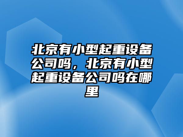 北京有小型起重設備公司嗎，北京有小型起重設備公司嗎在哪里