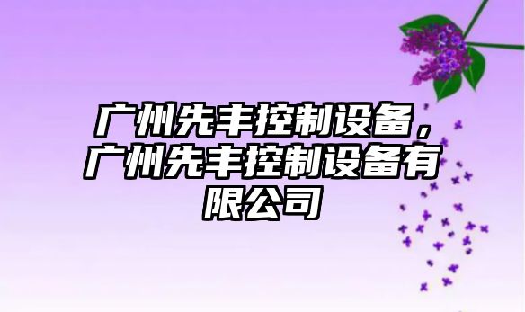 廣州先豐控制設備，廣州先豐控制設備有限公司