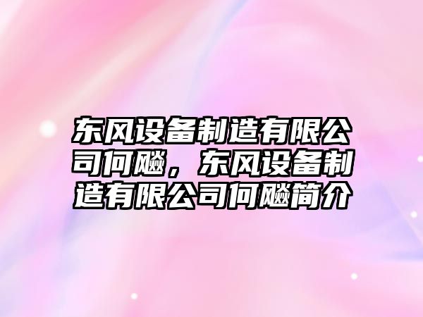 東風(fēng)設備制造有限公司何飚，東風(fēng)設備制造有限公司何飚簡(jiǎn)介