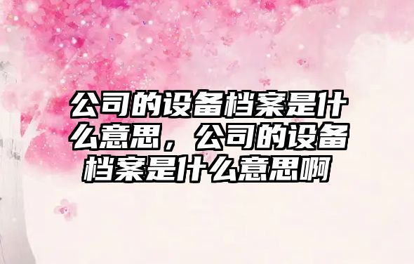 公司的設備檔案是什么意思，公司的設備檔案是什么意思啊